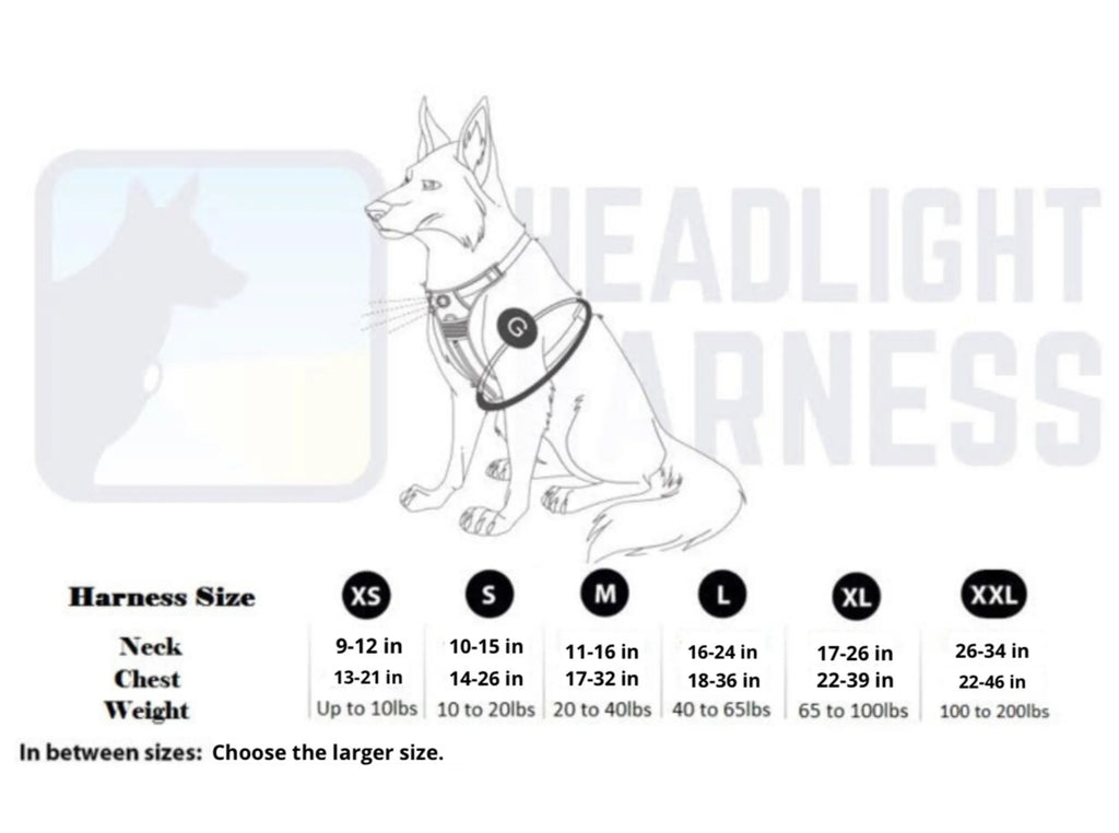 NightWalk LED Dog Harness — Built-In Light for Safe Night Walks