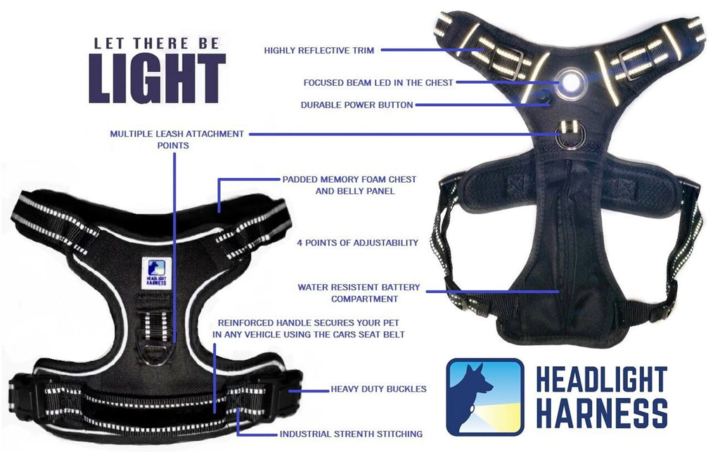 NightWalk LED Dog Harness — Built-In Light for Safe Night Walks