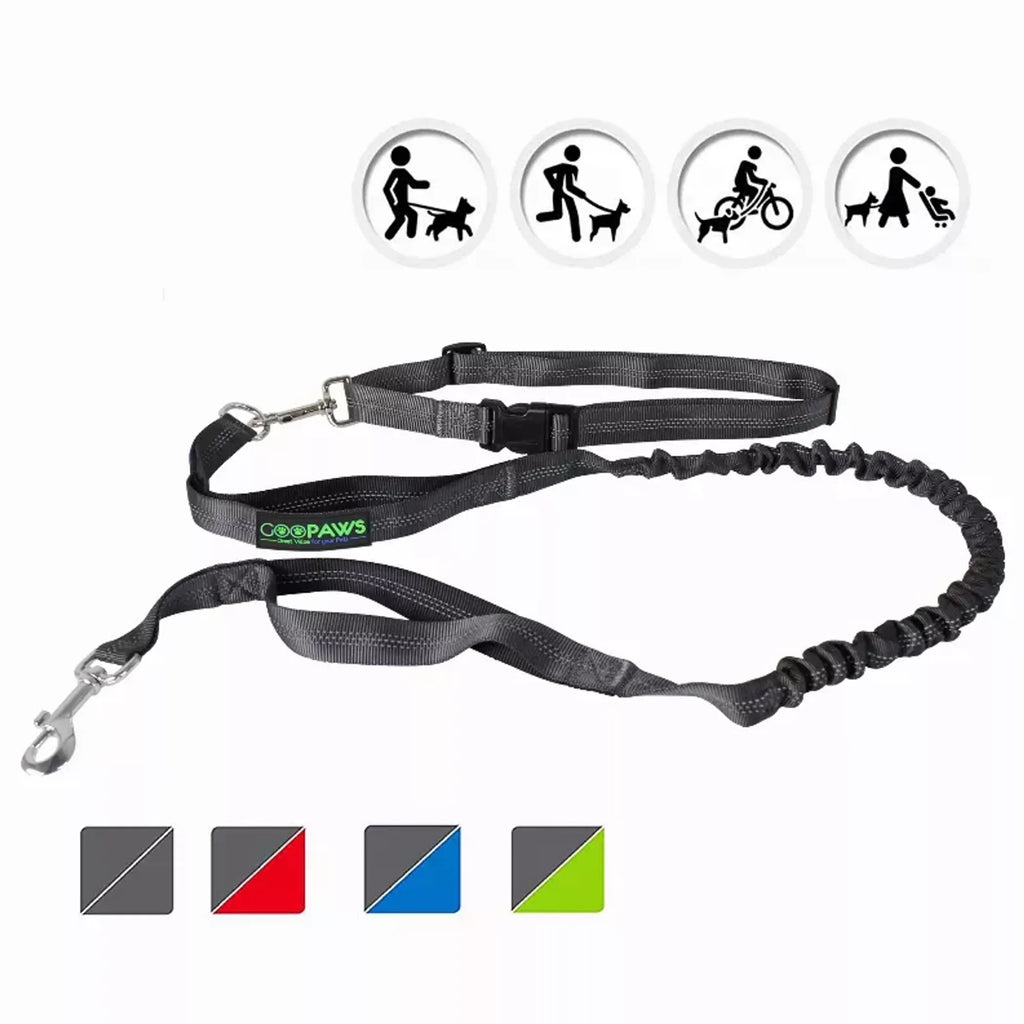 Daily Walk Hands-Free Leash — Adjustable Waist & Shoulder Belt