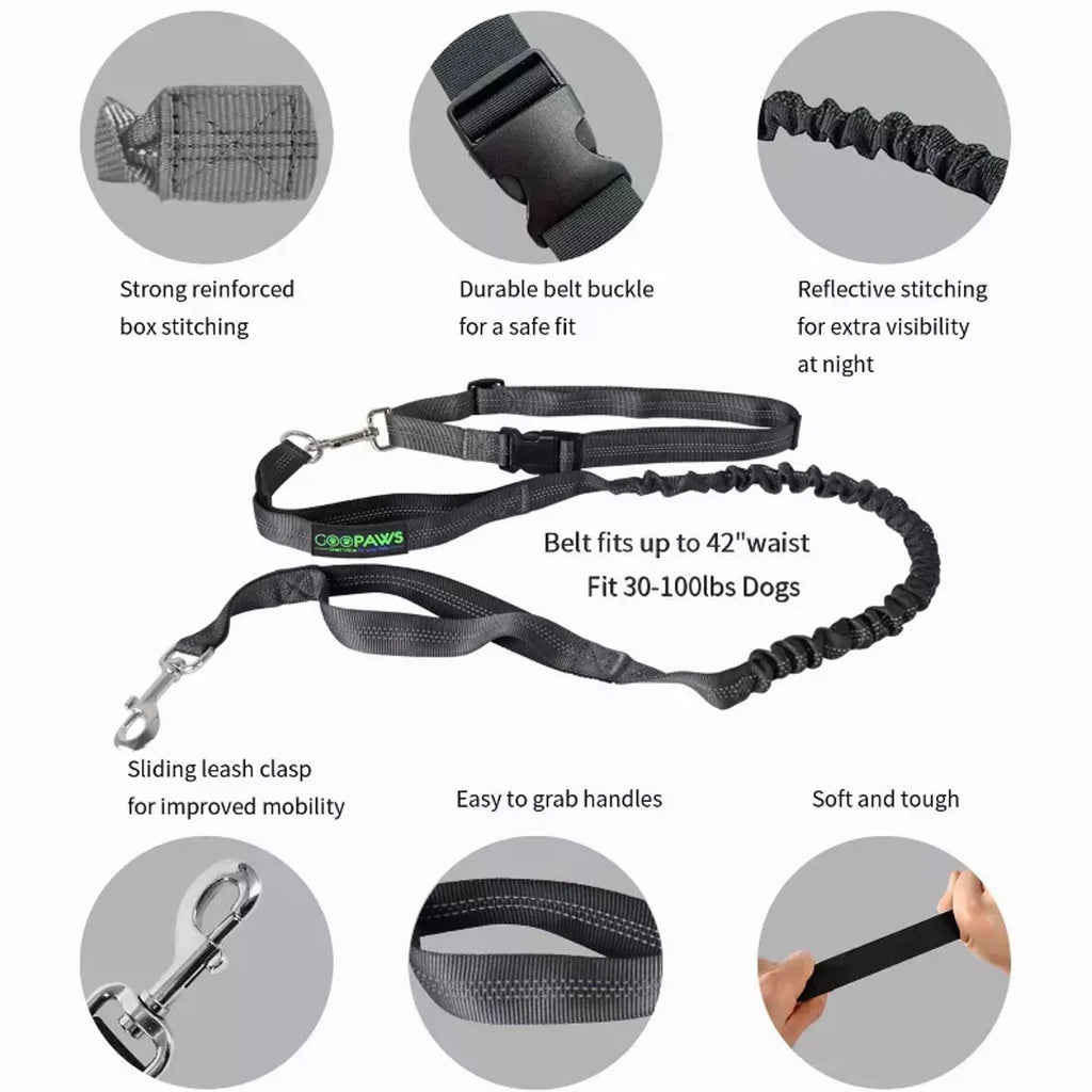 Daily Walk Hands-Free Leash — Adjustable Waist & Shoulder Belt