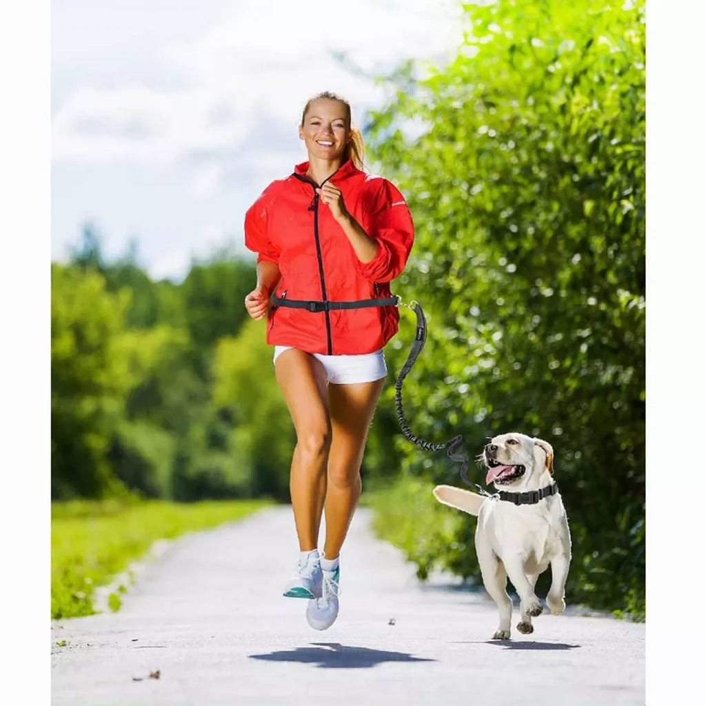 Daily Walk Hands-Free Leash — Adjustable Waist & Shoulder Belt
