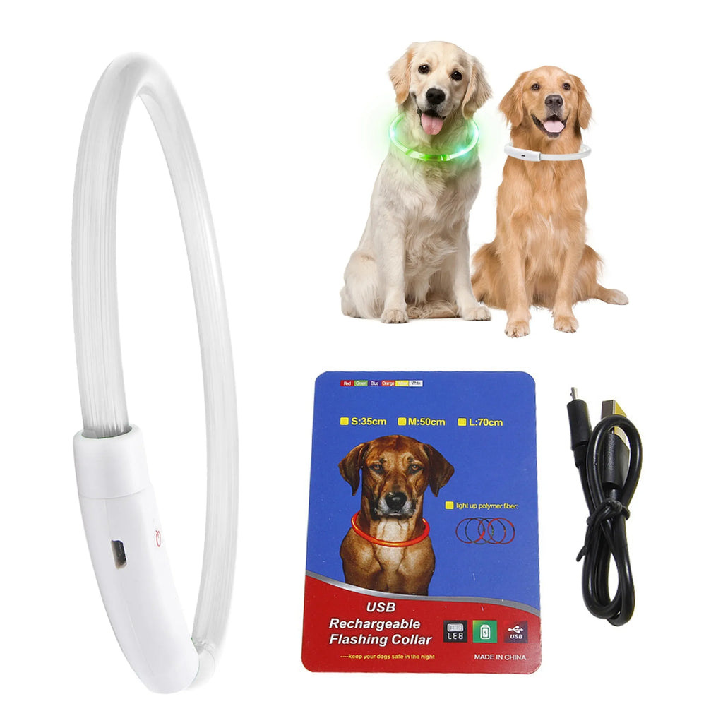 NightWalk LED Dog Collar — USB Rechargeable Safety Collar