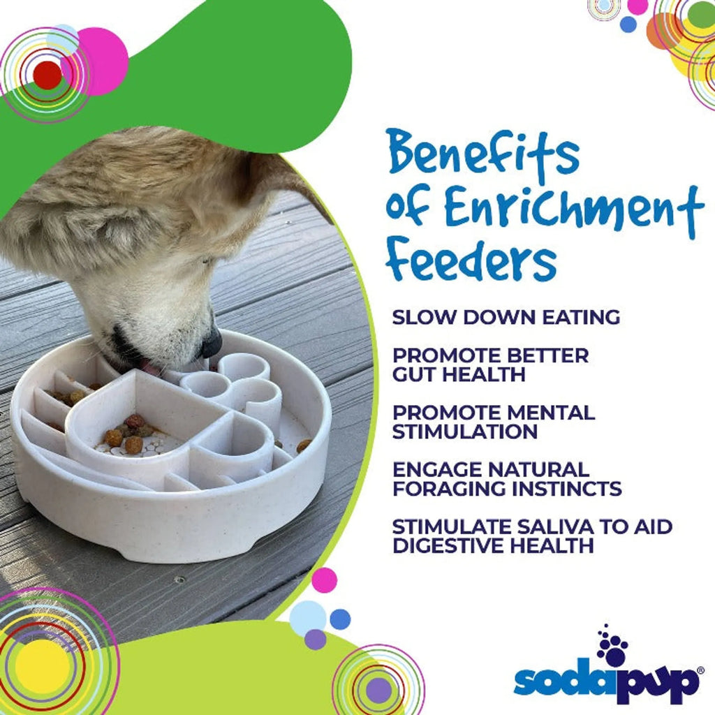Feed Smarter Slow Feeder Bowl — Anti-Gulping Dog Bowl