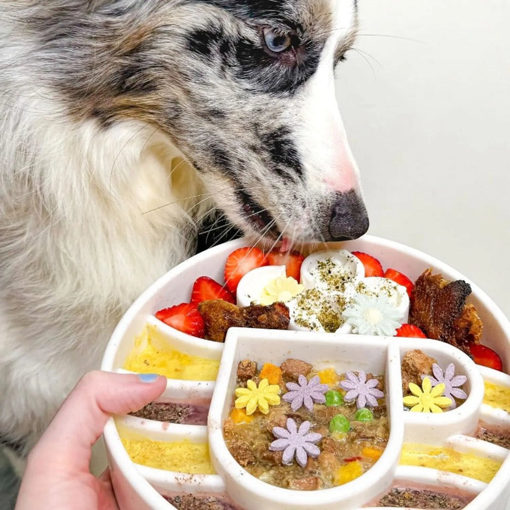 Feed Smarter Slow Feeder Bowl — Anti-Gulping Dog Bowl